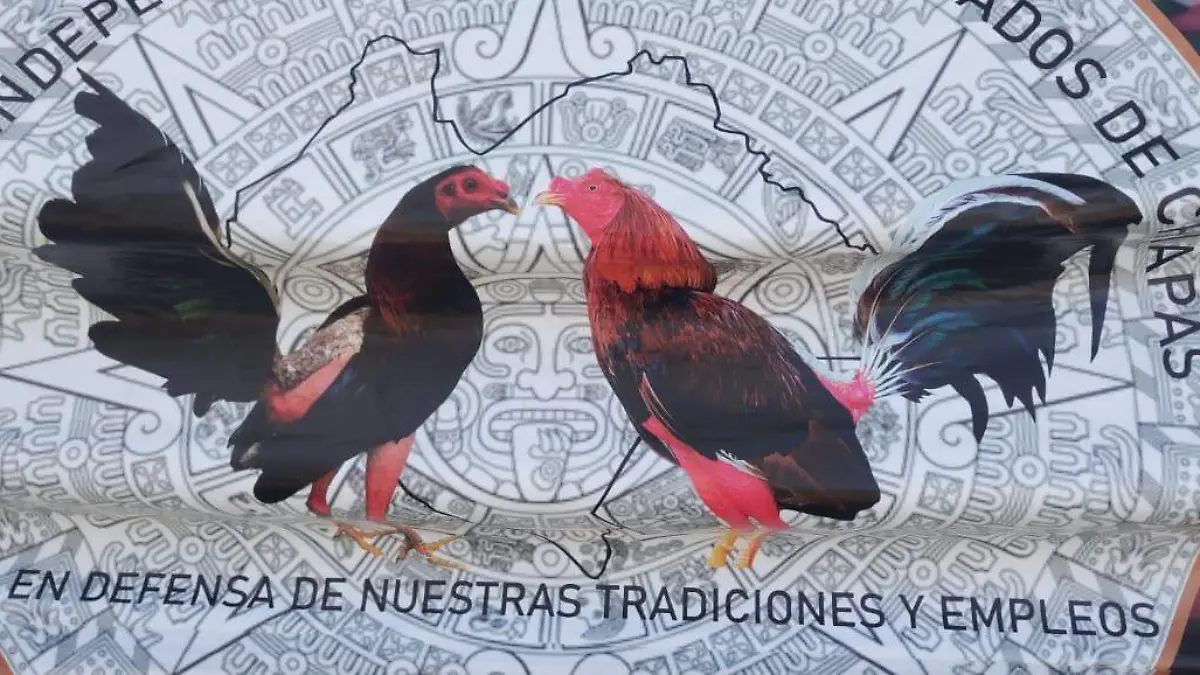 galleros independientes de chiapas