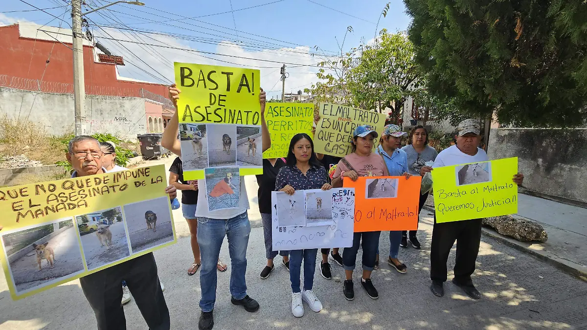 activistas protestando
