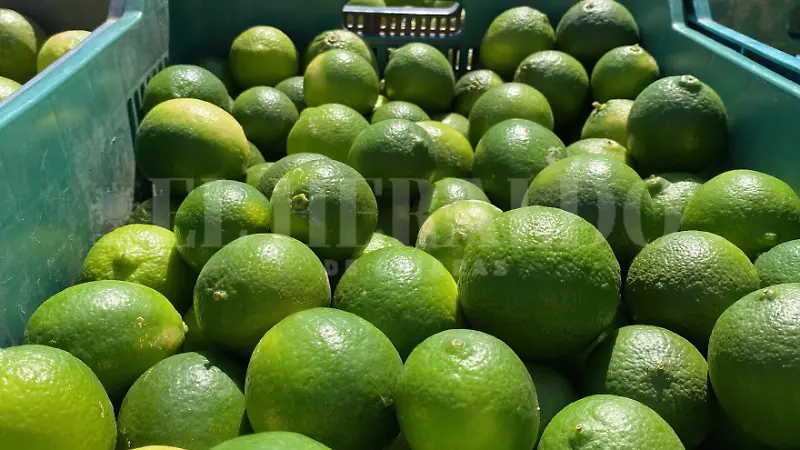 Limón