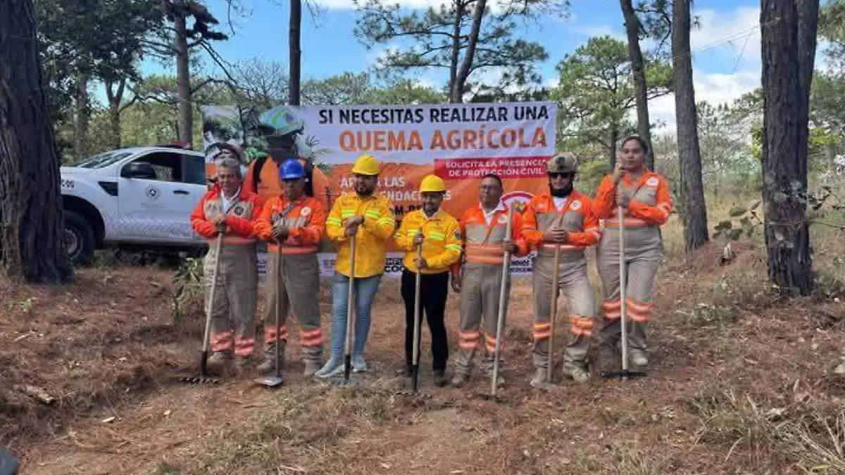 control de incendios forestales 