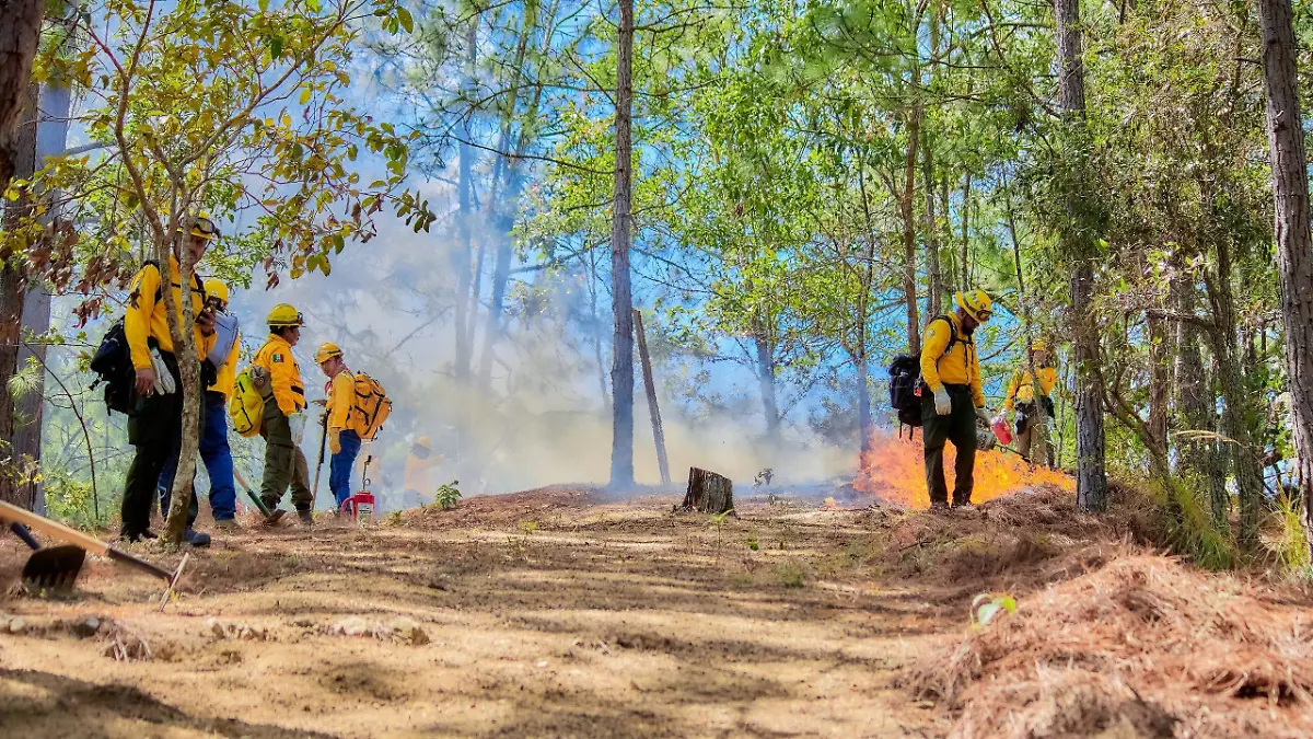 control de incendios 