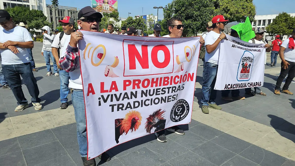 WhatsApp Image 2025-03-14 at 13.46.51