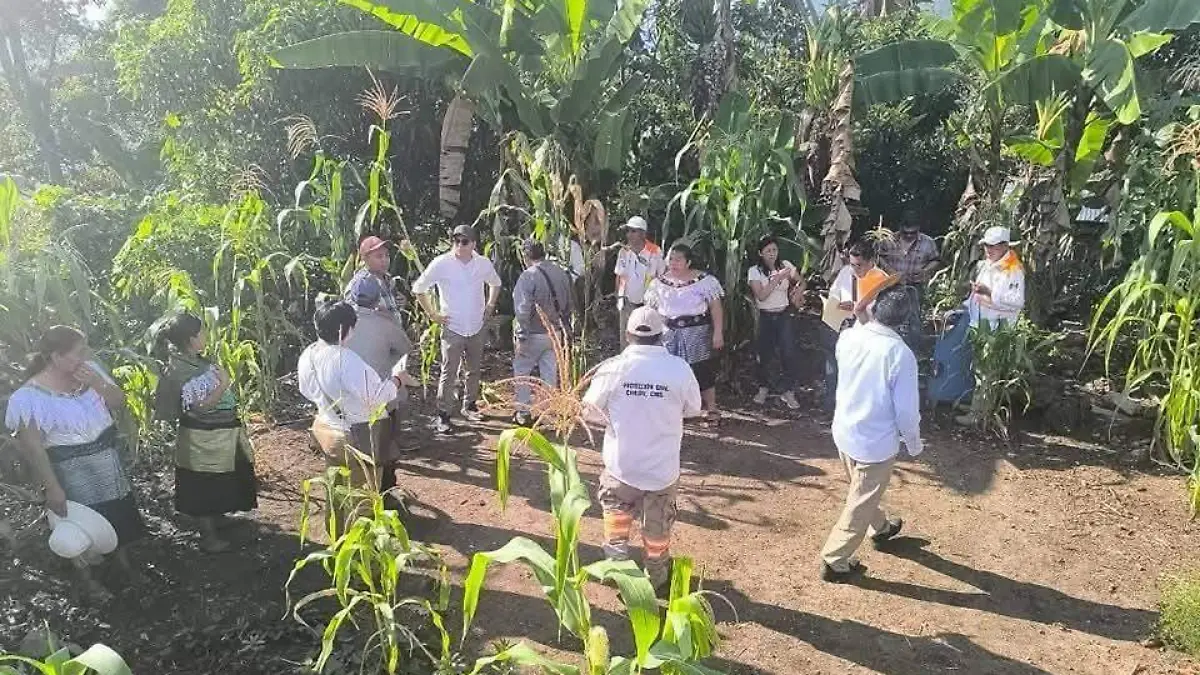 familias de chilón_2