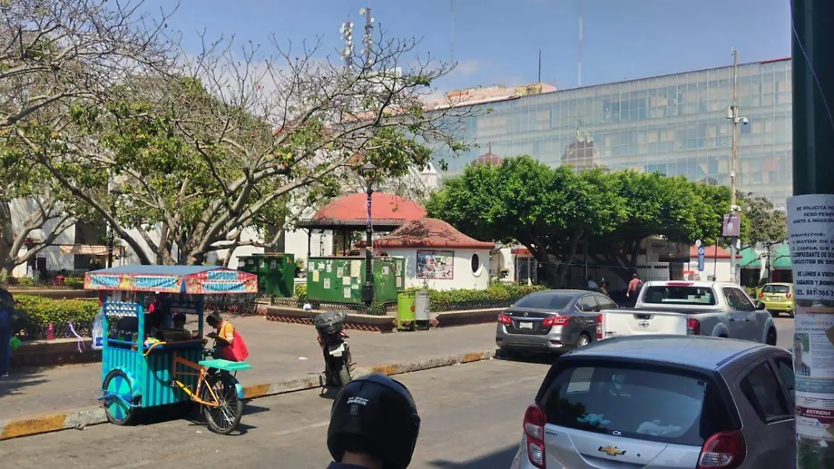 Maestros levantan planton