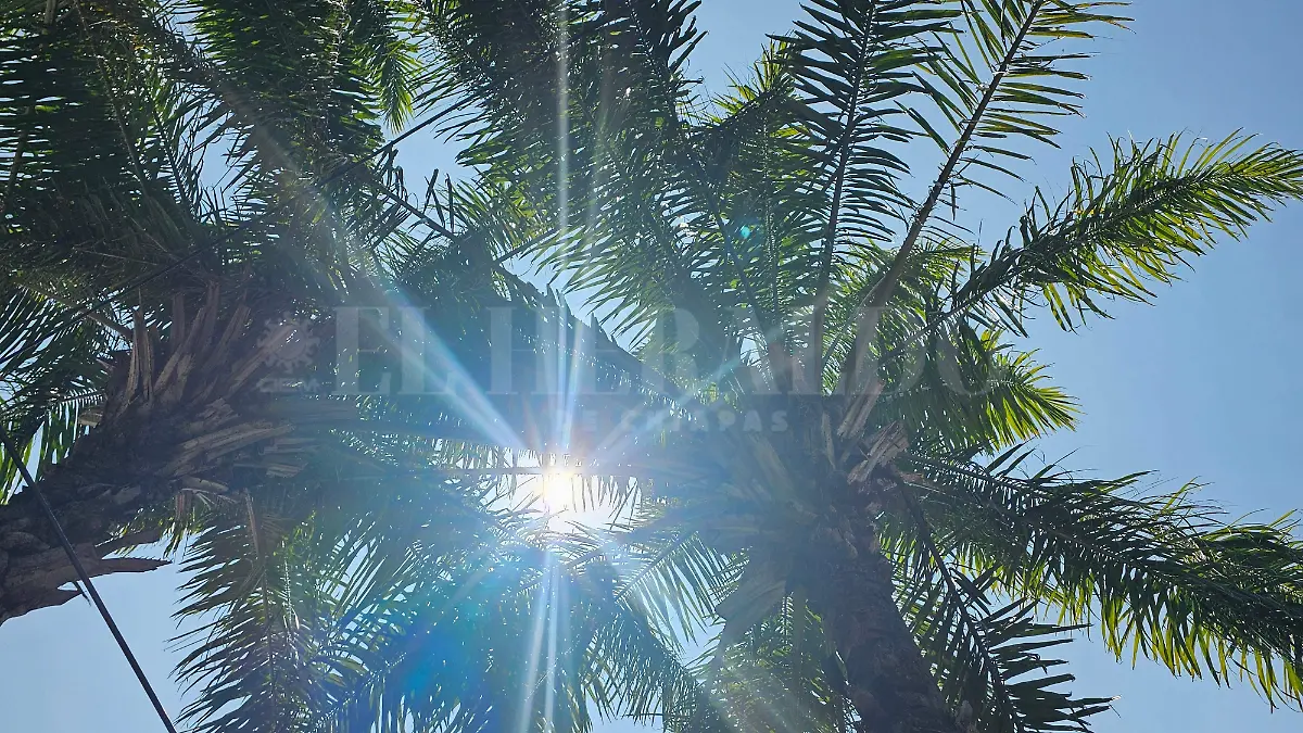 Clima calores chiapas