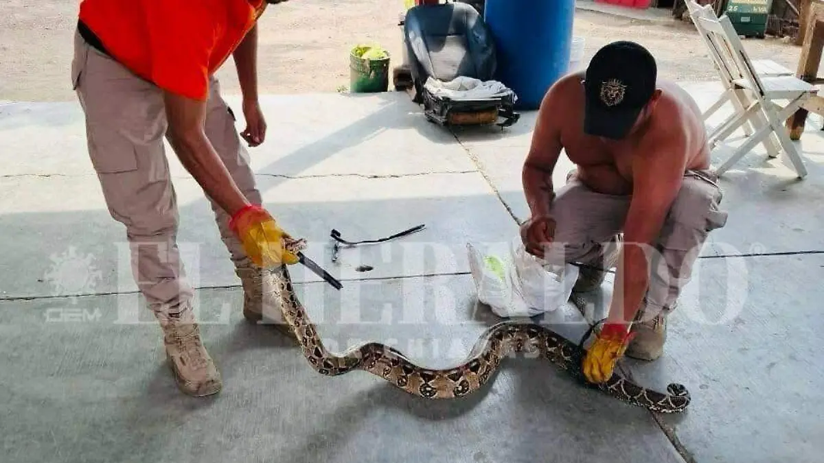 rescate