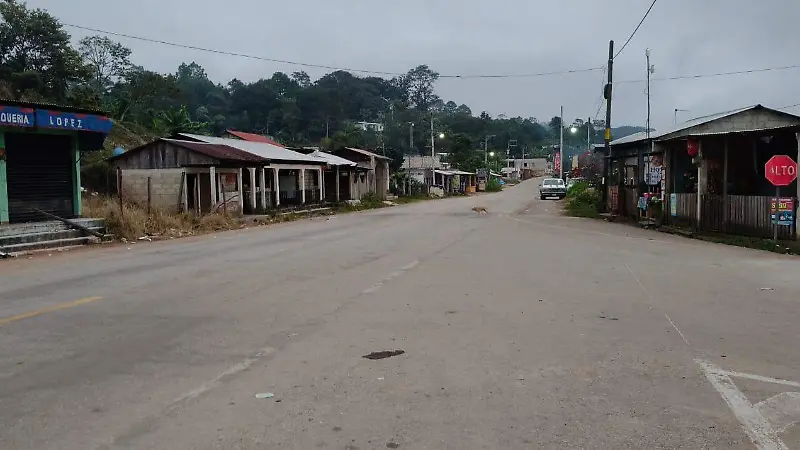 Este año iniciará la construcción de la autopista 