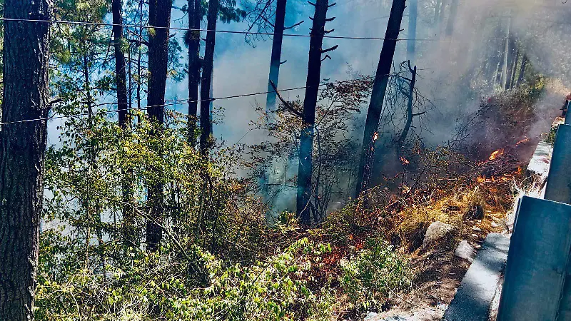 Incendios pastizales