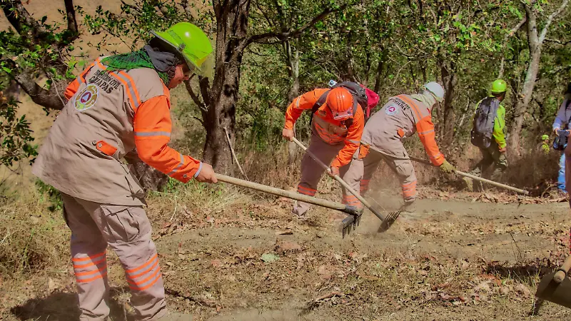 Elementos combates incendios Chiapas