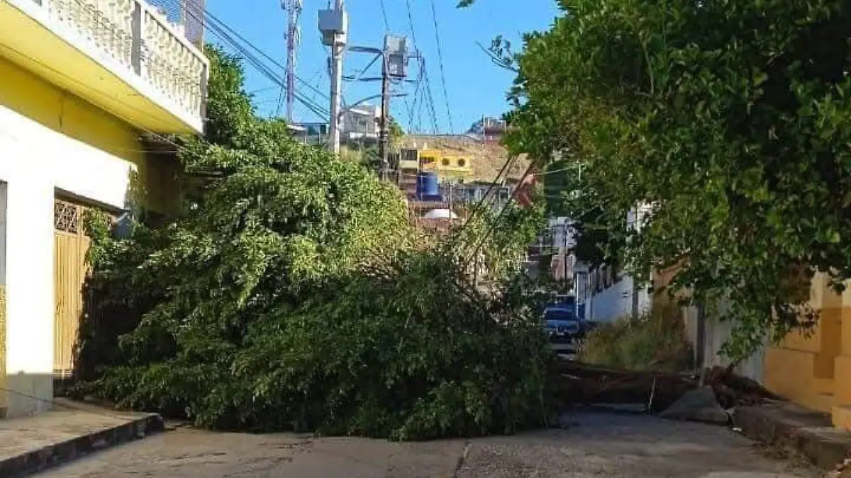 Tonala vientos