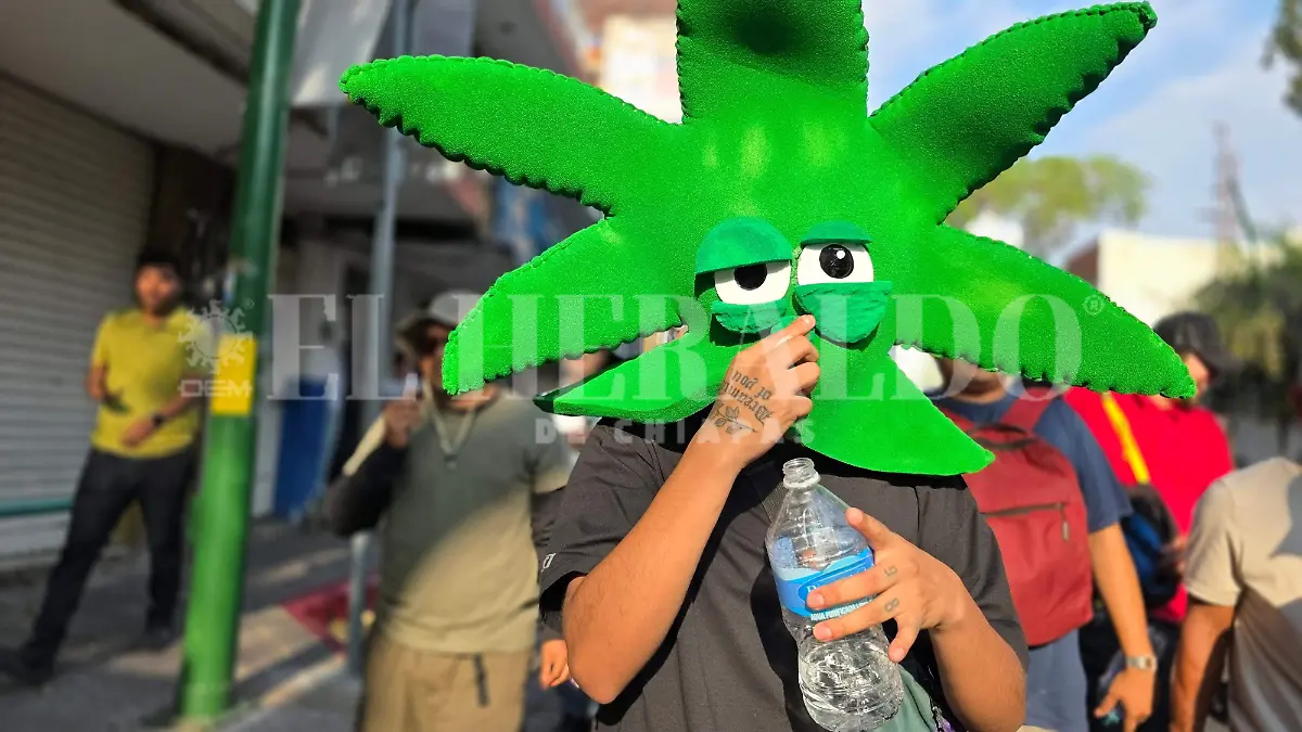 Marihuana cannabis marcha Tuxtla