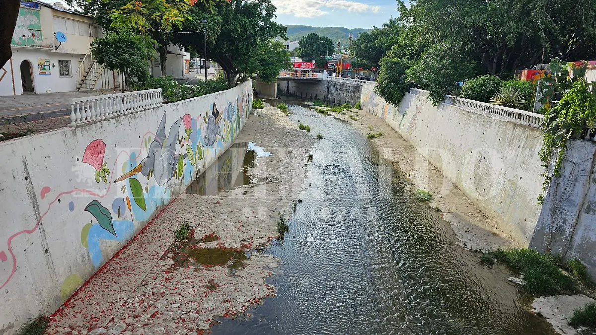 Contaminación de Ríos Chiapas