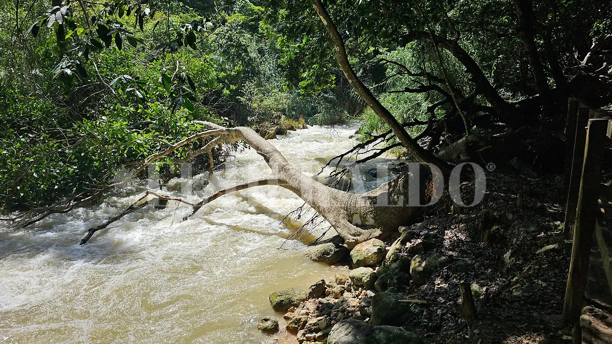 Contaminación ríos Chiapas