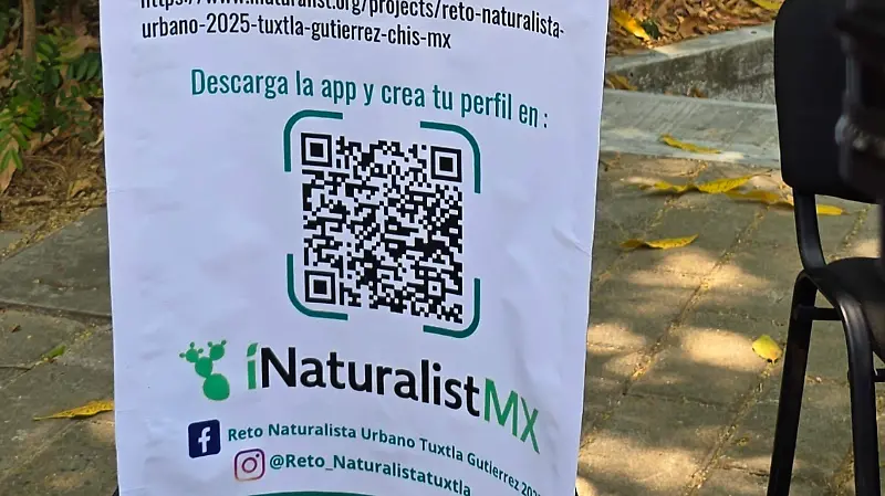 Reto naturalista Tuxtla