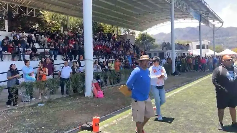 Tocho3