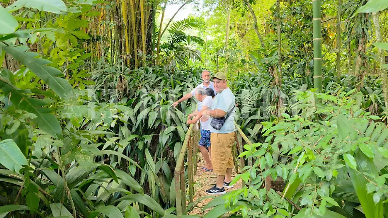 Turismo finca argovia sehuridad pakales operativos Tapachula