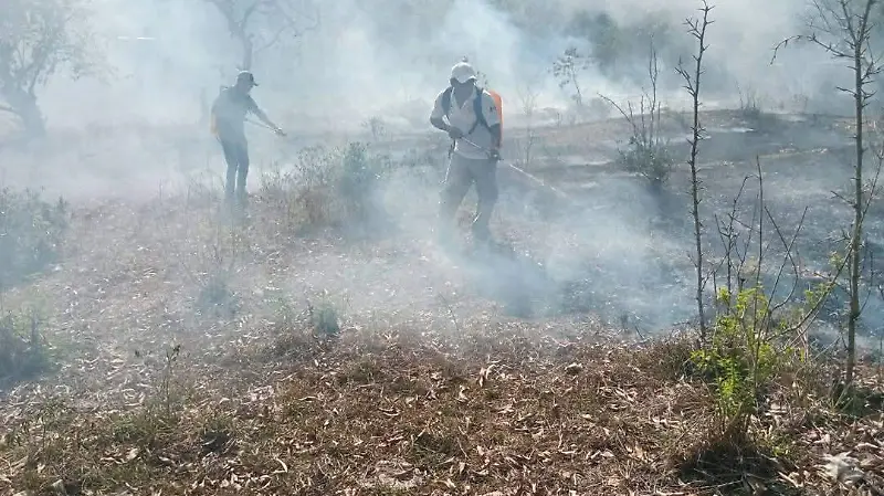 fuego
