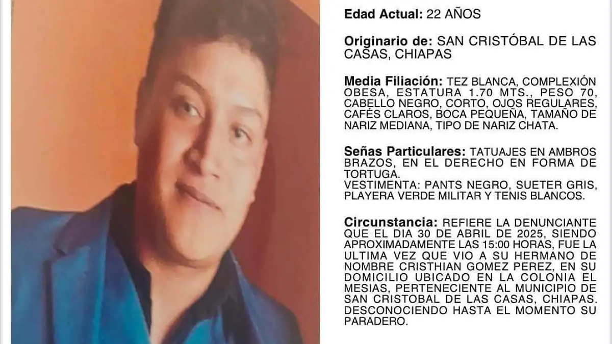 ficha de búsqueda 2