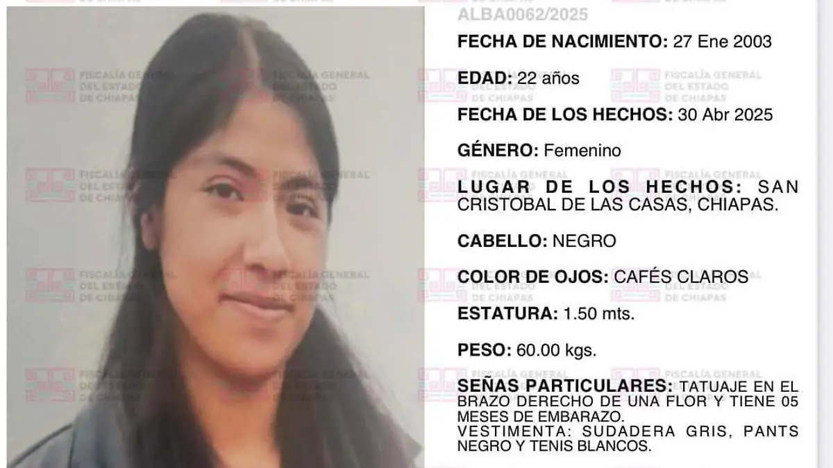 ficha de búsqueda 1