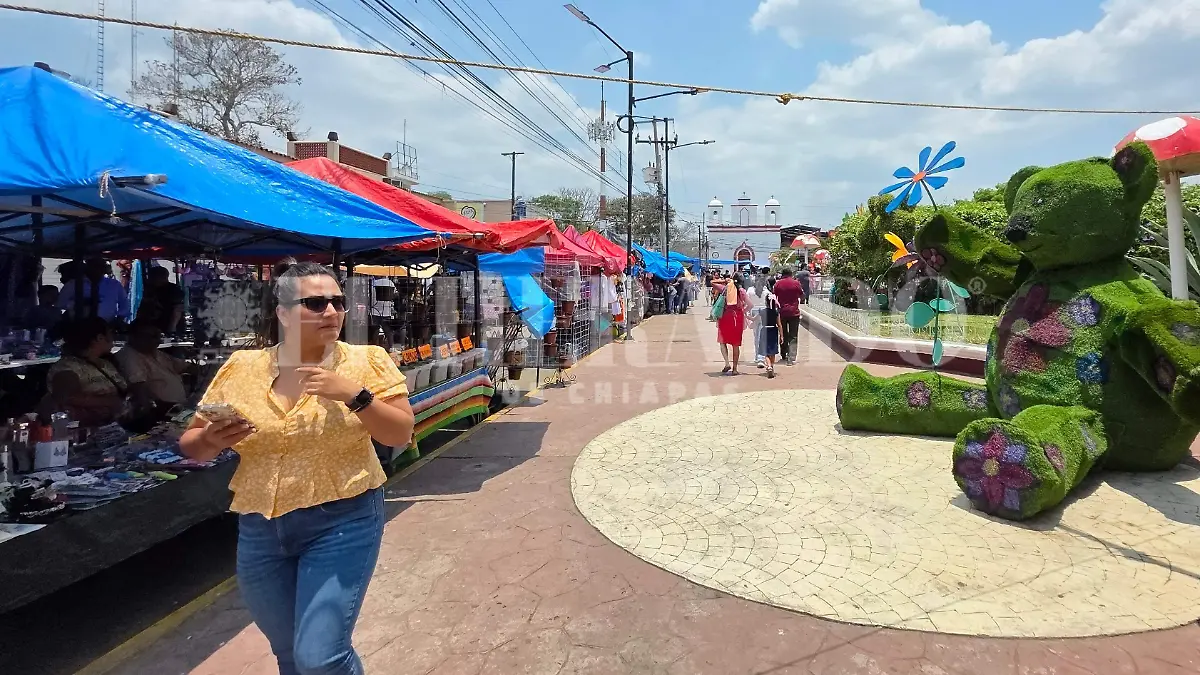 Tianguis Berriozábal 