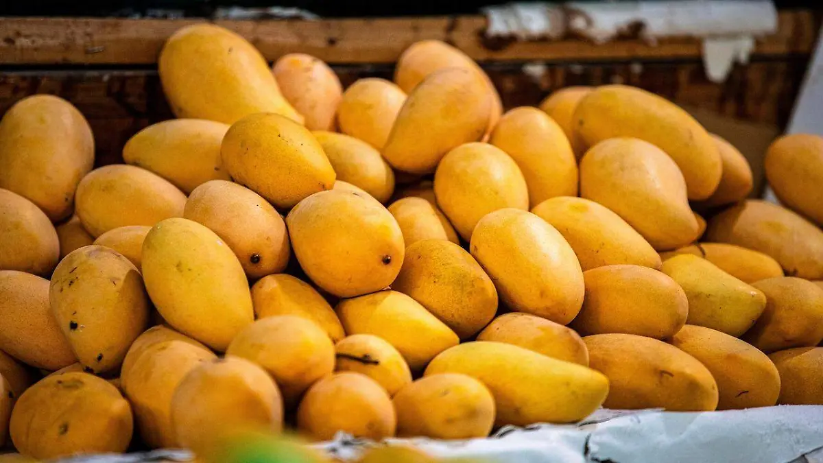 mango ATAULFO DEL SOCONUSCO