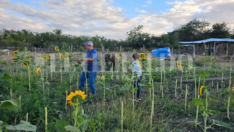 Día de las madres girasoles testimonio