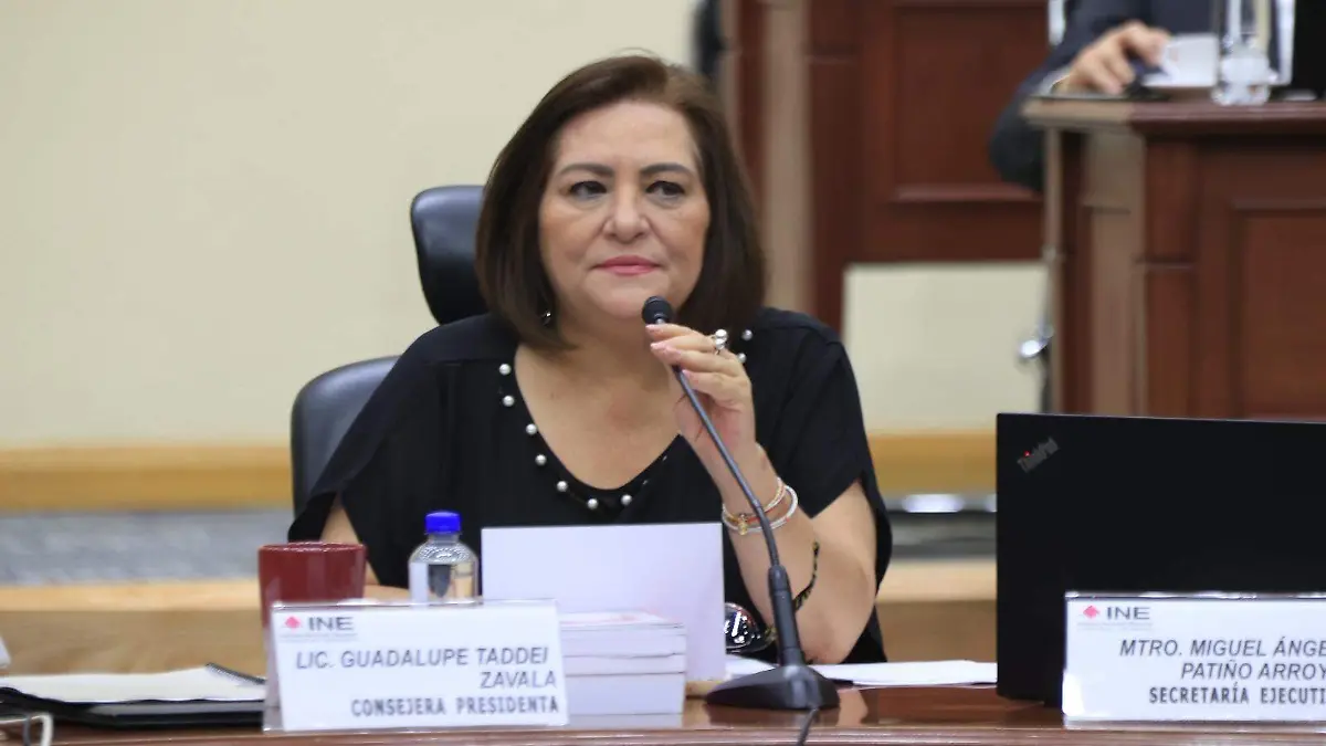 SESIÓN DEL INE- CORTESÍA. INE (3)