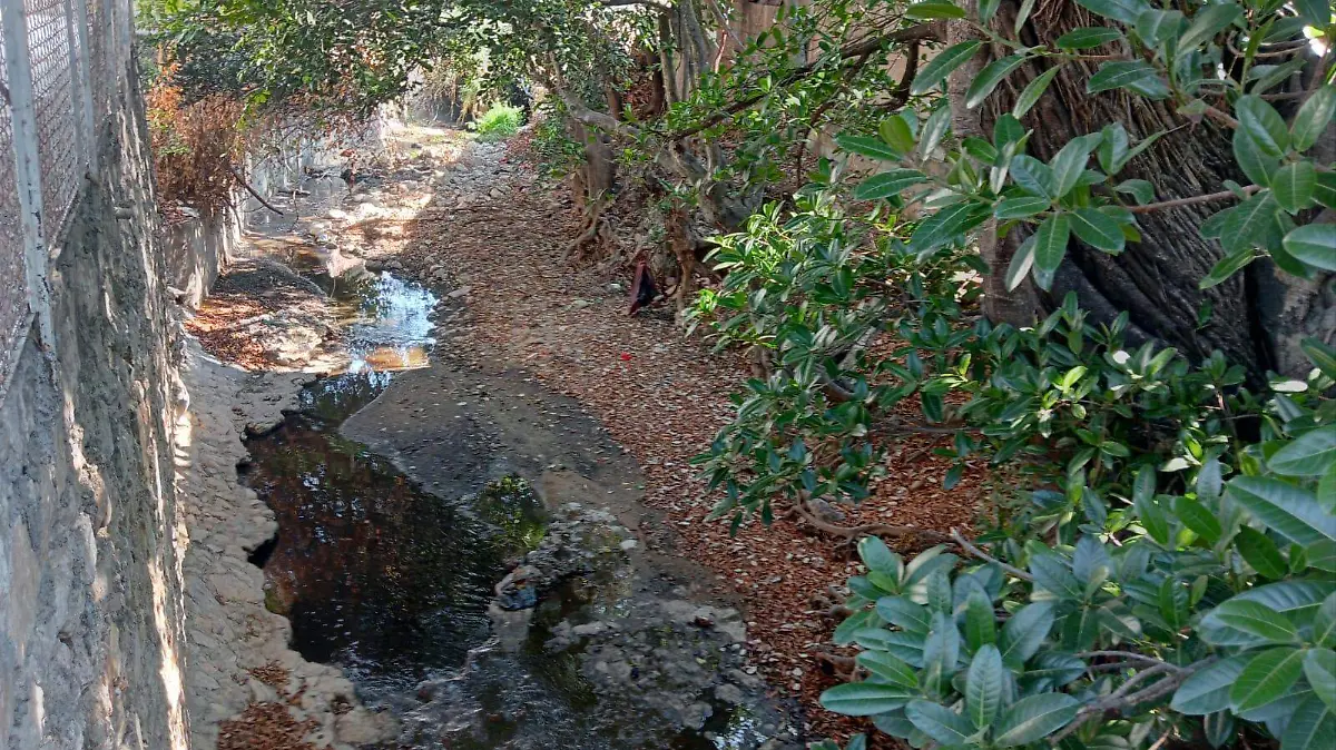 Arroyos de Tuxtla Gutierrez
