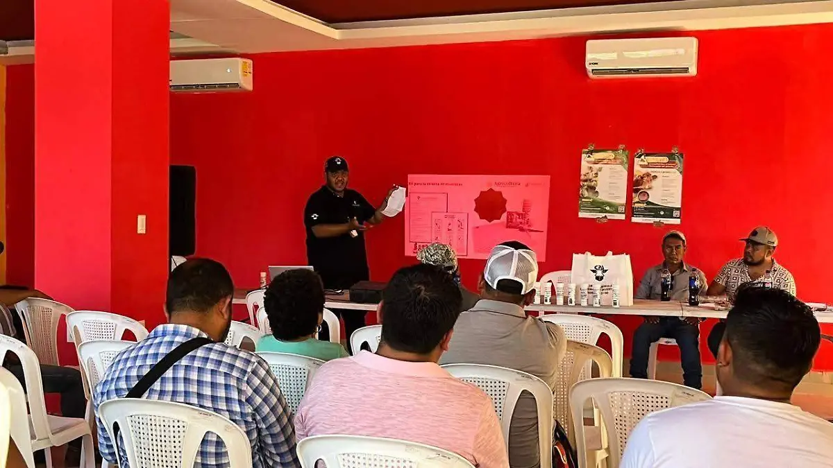 Gusano barrenador senasica Chilón