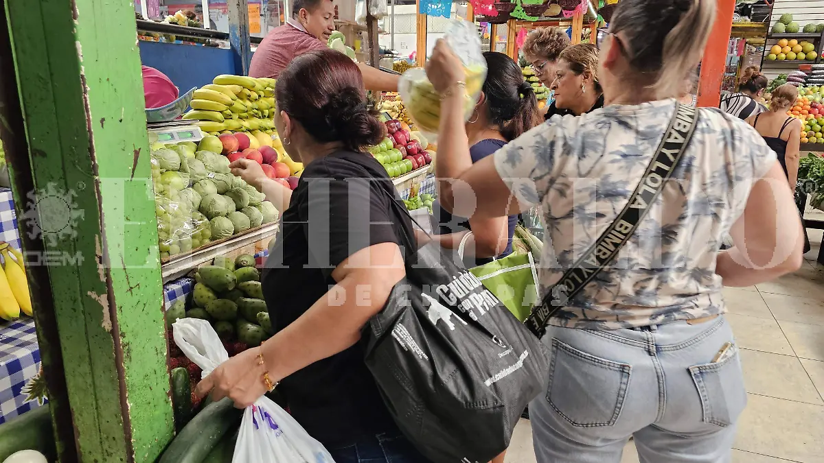 Alimentos3