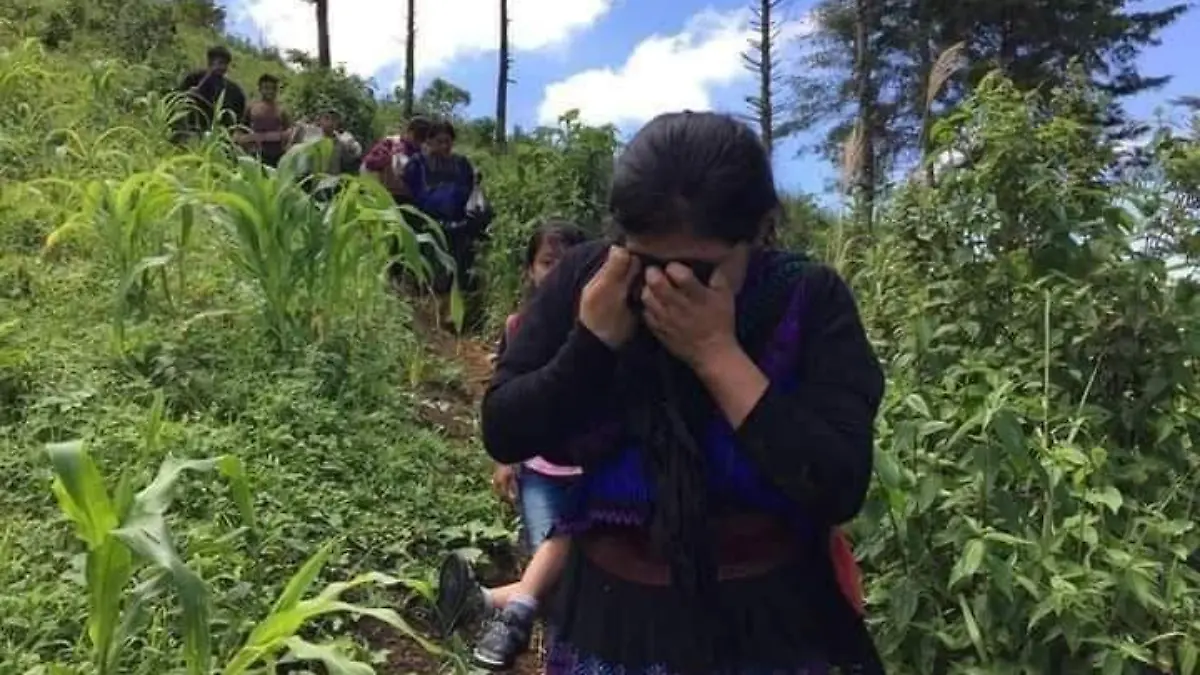 desplazados