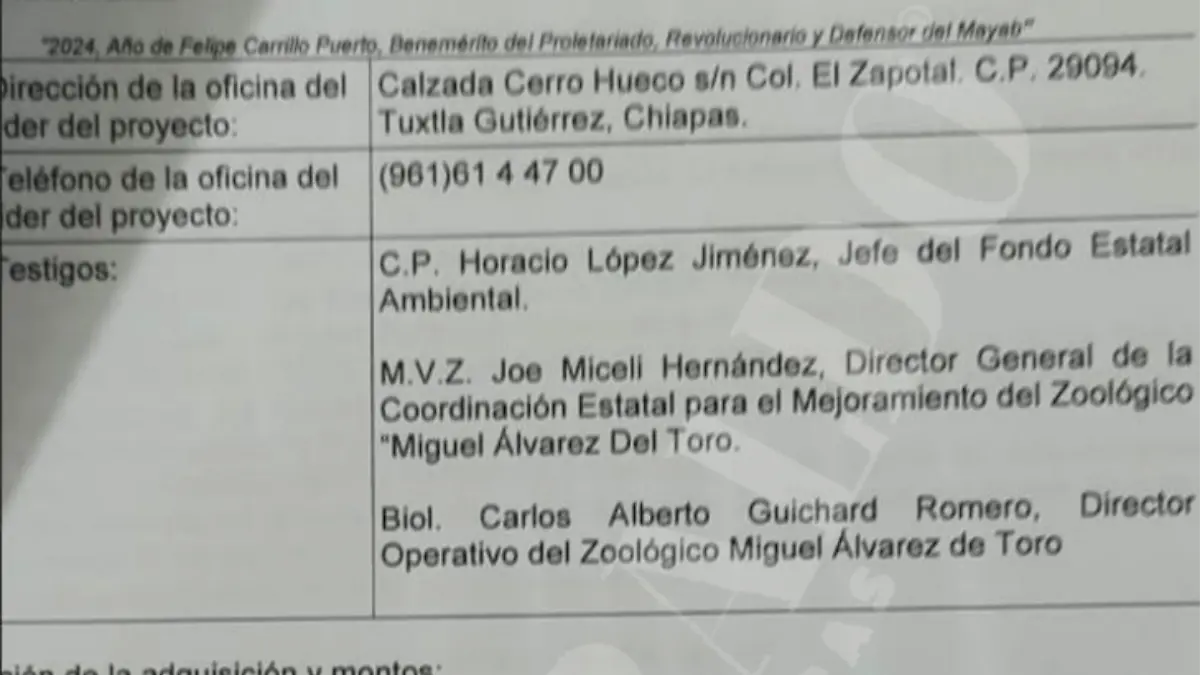 Licitación águila arpía Chiapas ZooMAT