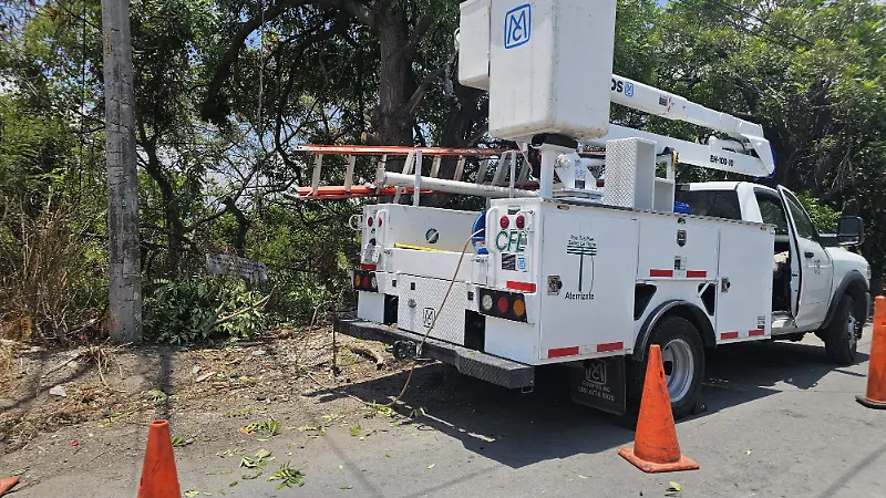 Trabajadores CFE