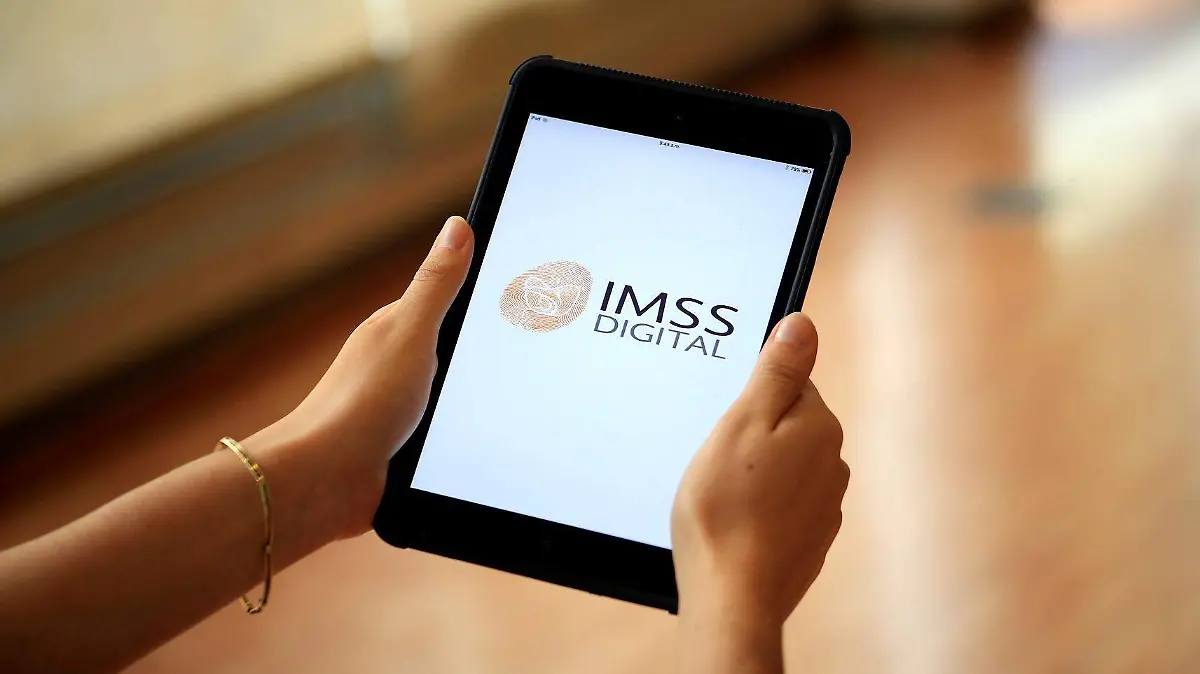 01-imss-digital