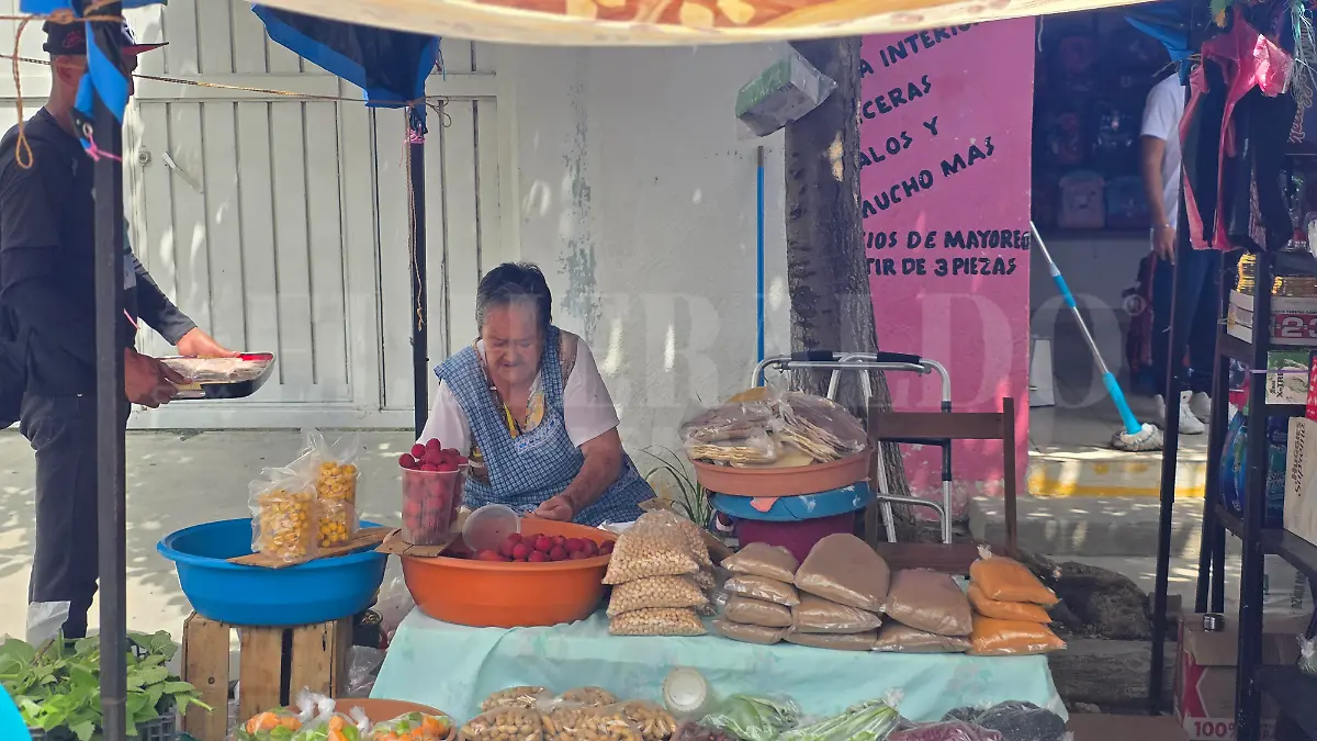 Empleo informal Mujeres Chiapas