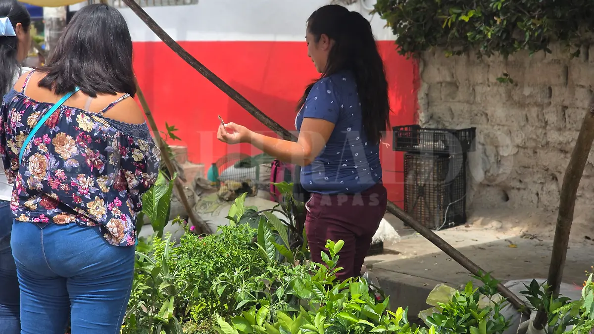 Mujeres empleos Chiapas informal