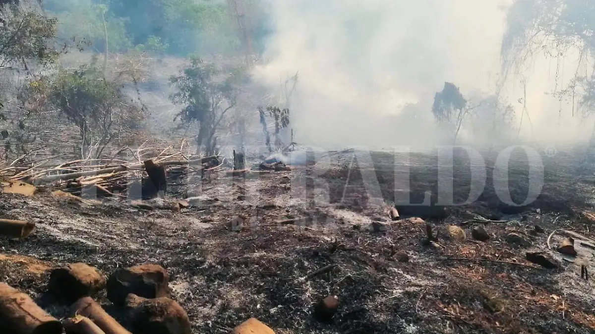 incendio 1