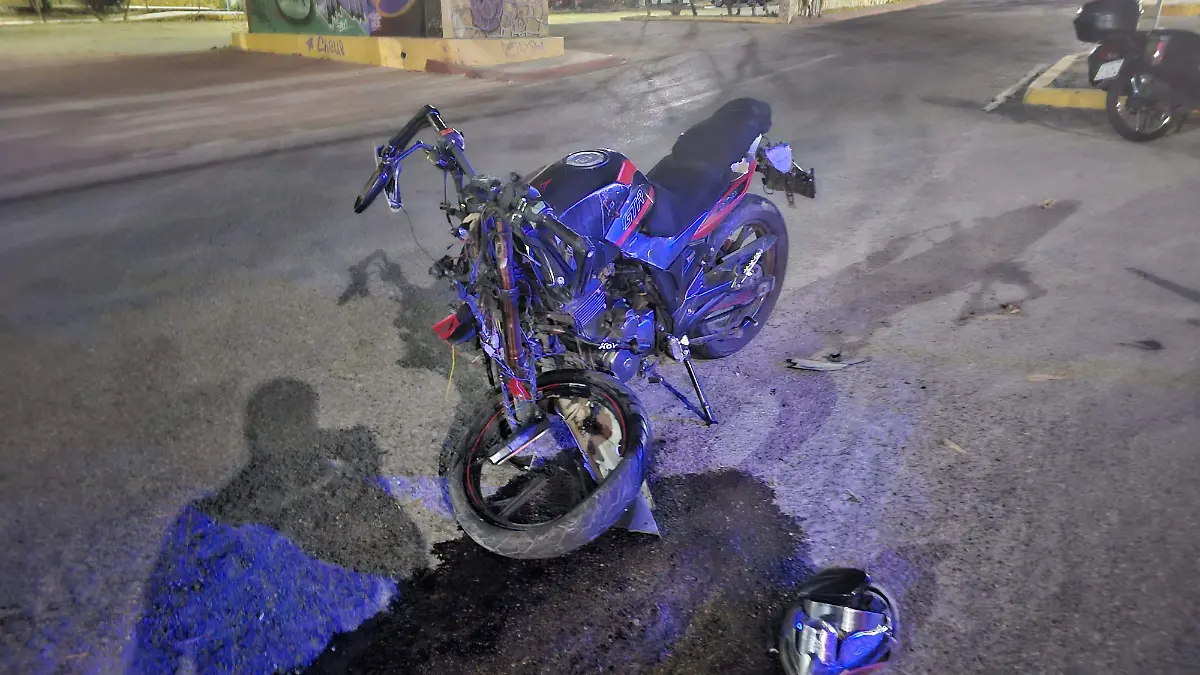 WhatsApp Image 2025-06-11 at 17.33.47