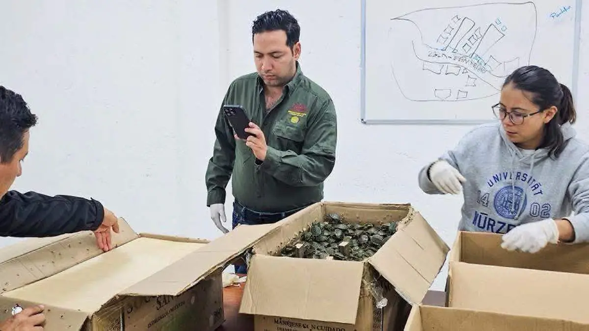 WhatsApp Image 2025-06-19 at 09.05.33 (2)