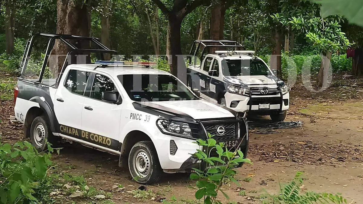 WhatsApp Image 2025-06-21 at 17.45.27 (1)