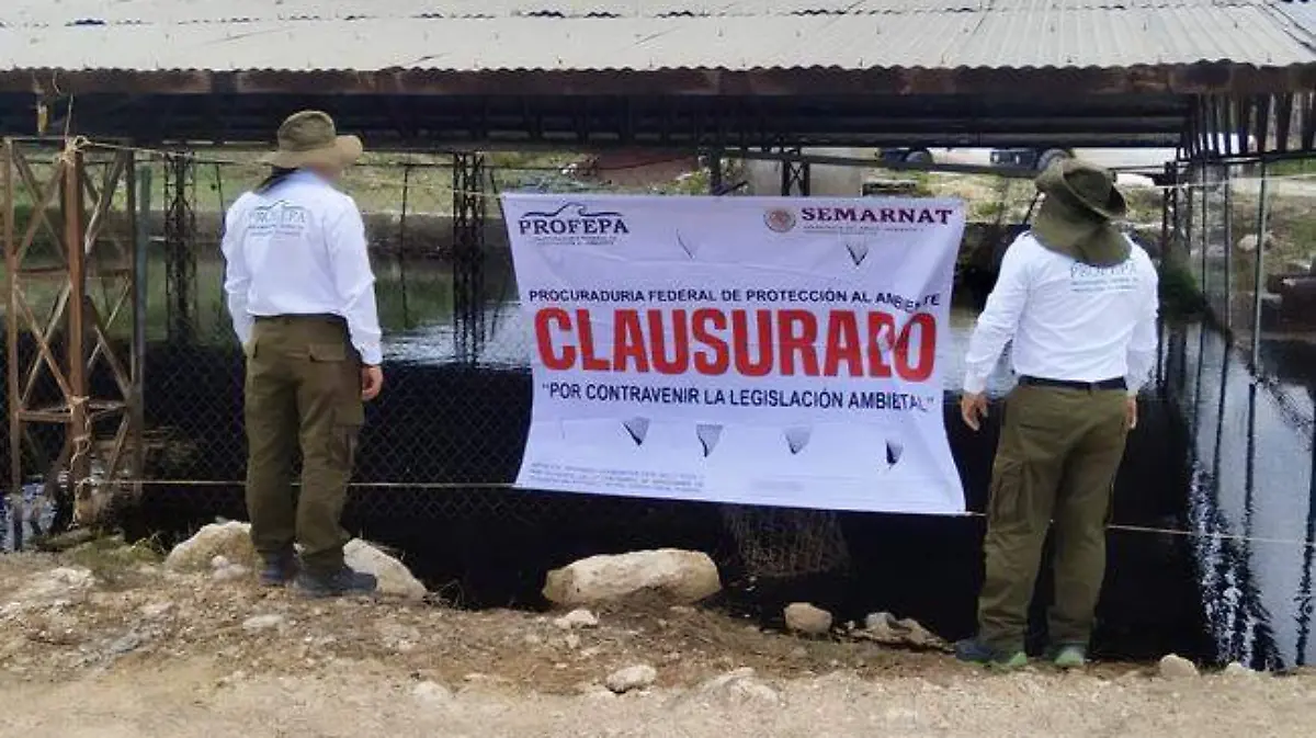 Basura2