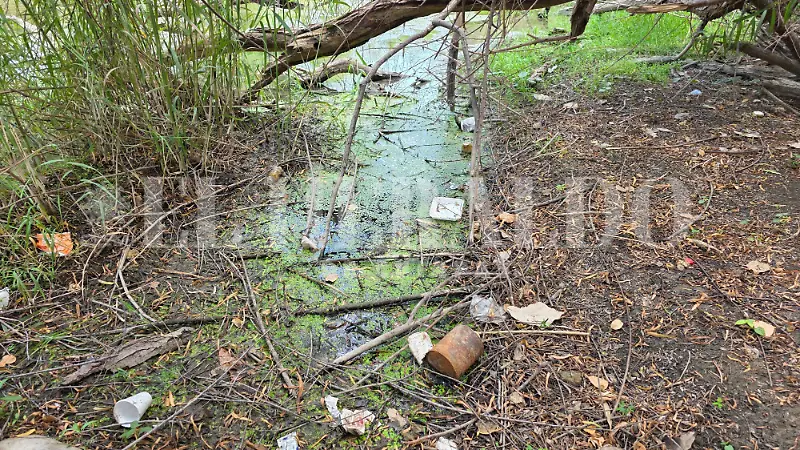 Contaminación rios arroyos basura Tuxtla