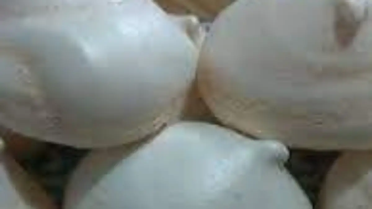 merengue