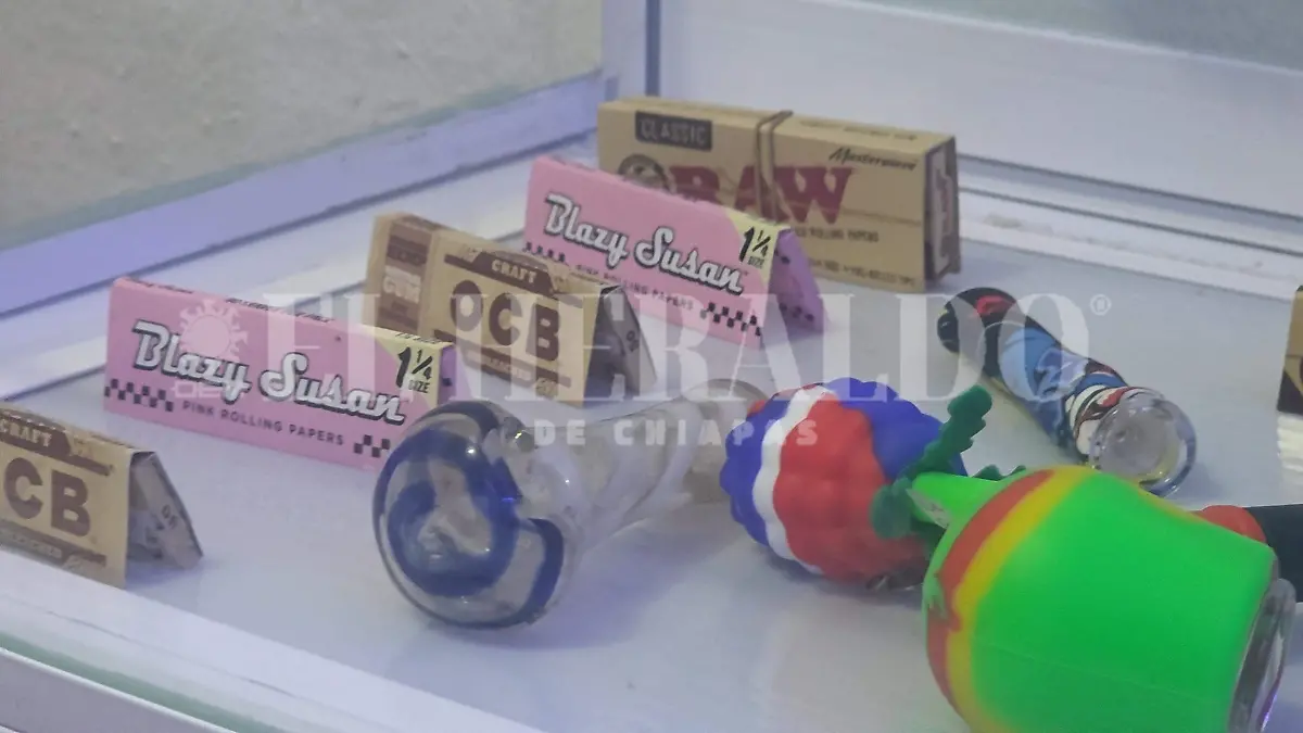 Cannabis marihuana Chiapas autoconsumo legalización 