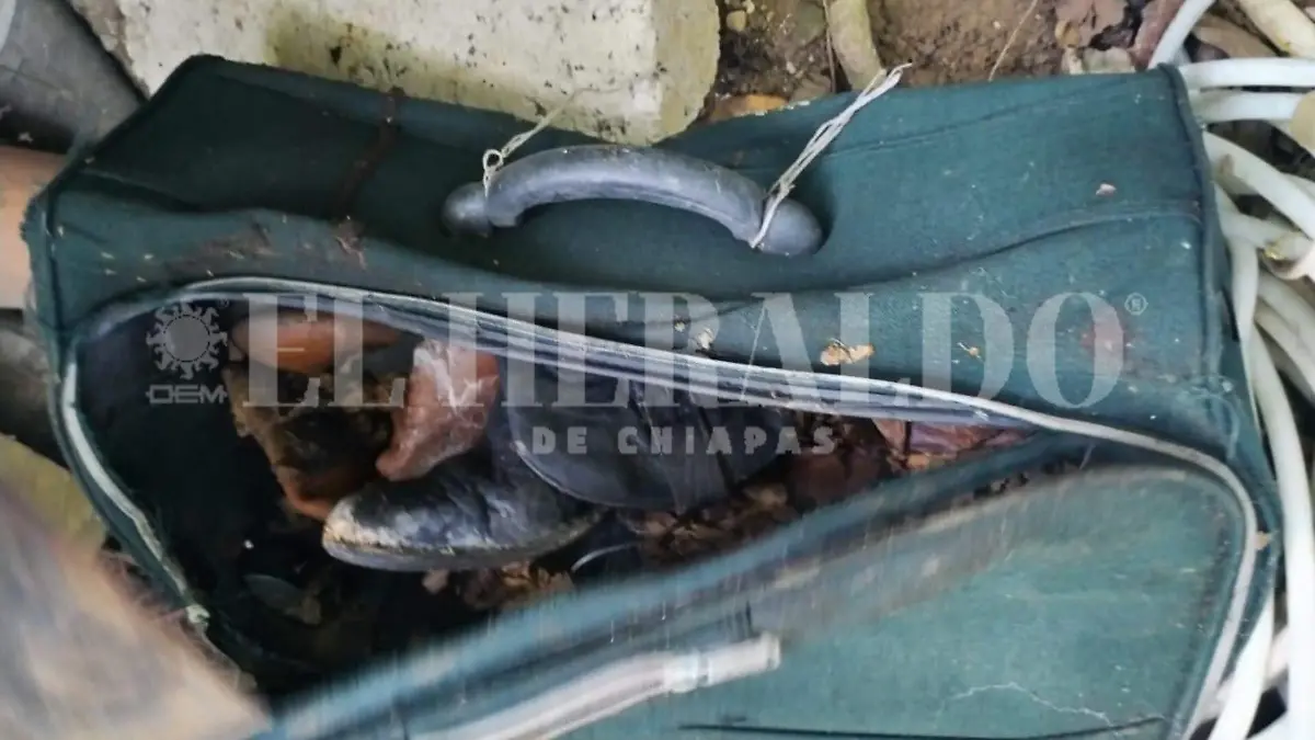 Rancho cateo Yajalon Chiapas