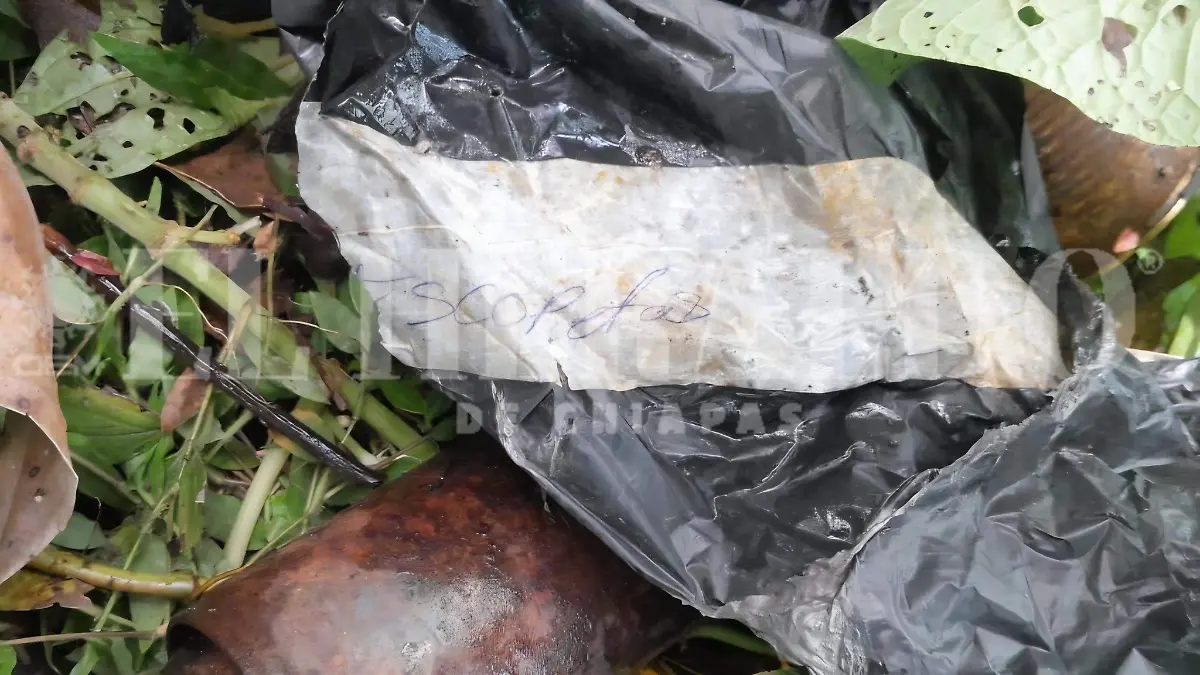 José Arturo desaparecido cateo ranchos Chiapas