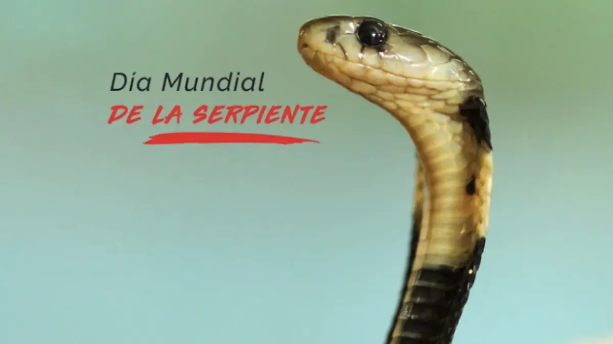 Día Mundial de la Serpiente