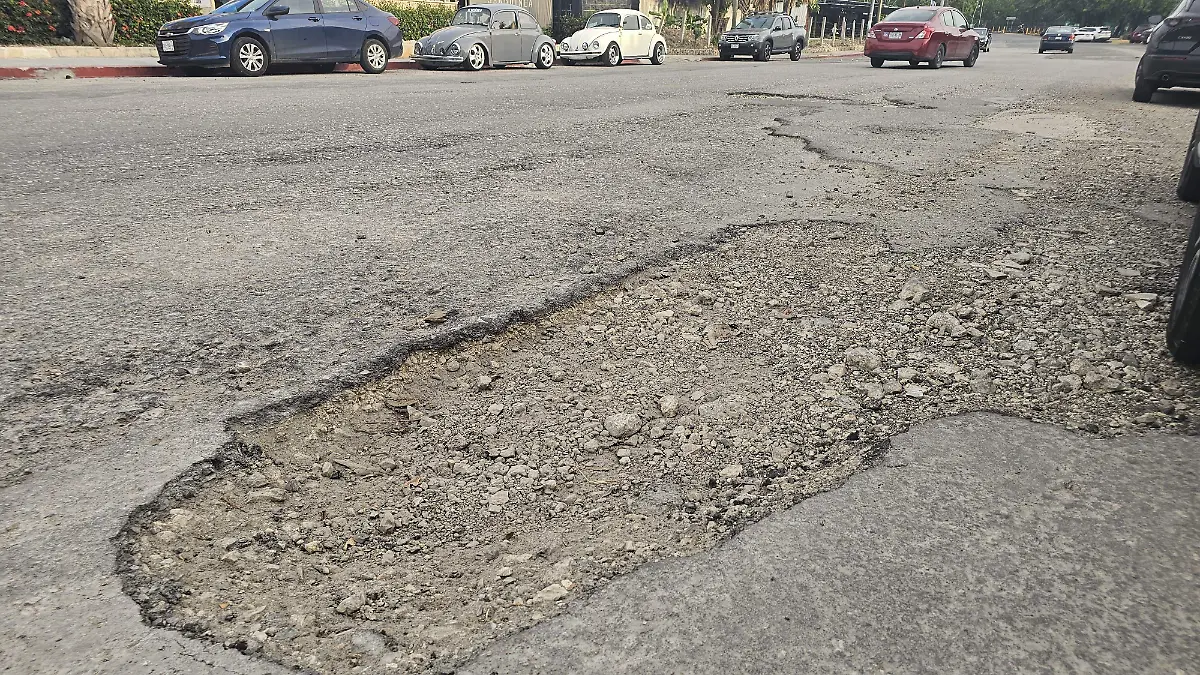 baches 4