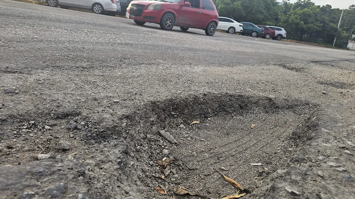 baches 3