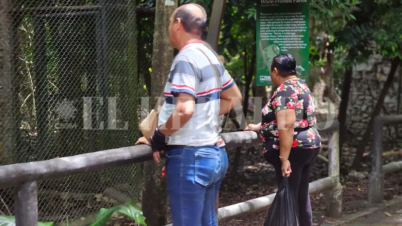Visitantes zoológico vacaciones